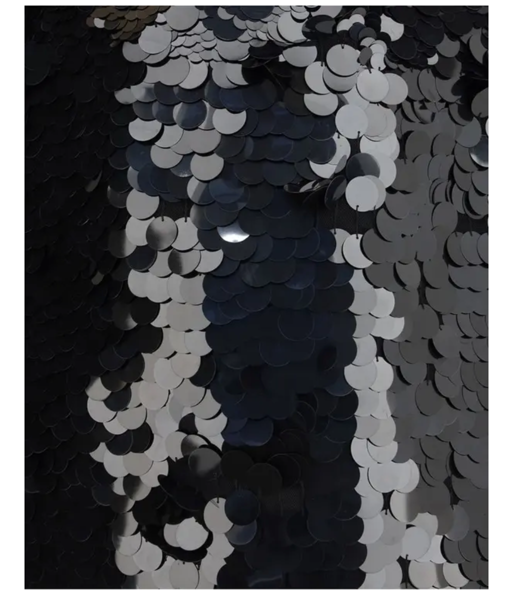 SPORTMAX Terfrite Sequined Jersey Mini Dress